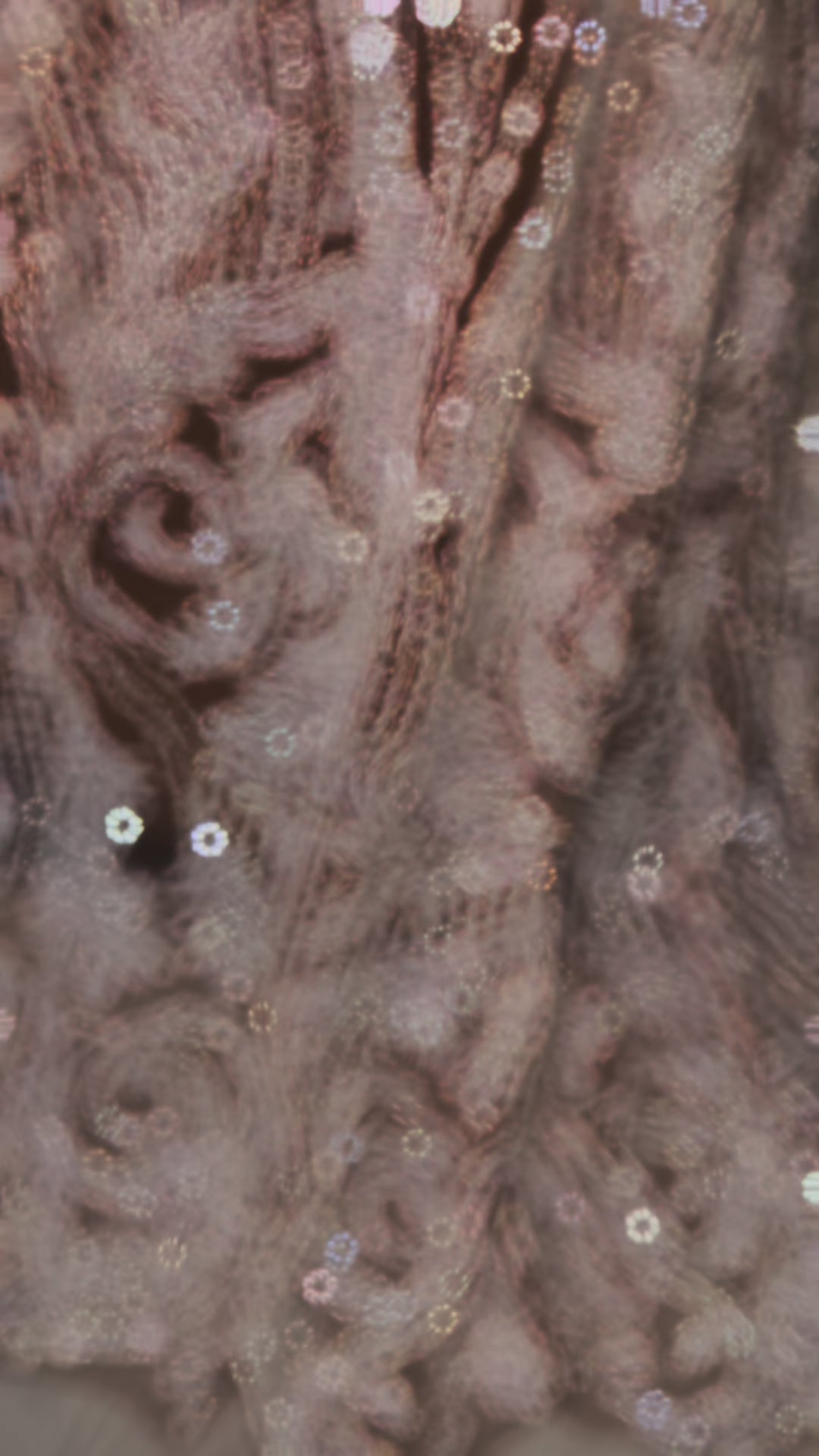Renay Gown (Sample Dress)